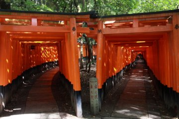 外国人に人気の日本の観光地、第一位！京都・伏見稲荷大社の魅力とおすすめグルメベスト10