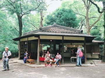 Hydrangea Festival 🌼 A Beautiful Walk in Rikugien Garden & Hakusan Shrine