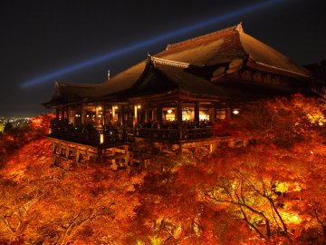 【京都特別編】おすすめ紅葉🍁＆グルメ🍴【市街地周辺】🙌🎉 