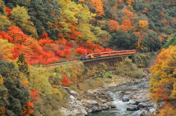 賞紅葉‧享美食🍂京都嵐山編