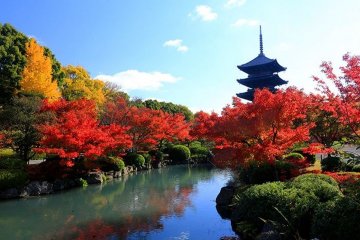 京都追楓景點及周邊主題甜品推介 -2017年版-