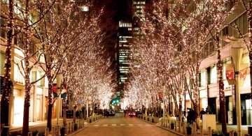 冬の絶景！3都市おすすめイルミネーション特集✨