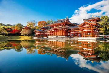 世界遺産・平等院 × 抹茶の本場”宇治”で行きたい茶屋特集🍵