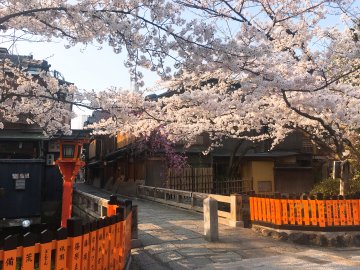 【2018】京都🌸お花見スポット&おすすめ”SNS映え”グルメ