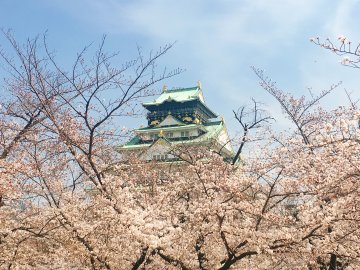 【2018】大阪🌸お花見スポット&おすすめ”SNS映え”グルメ