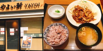 お手頃和食🍚👏人気チェーン大戸屋&やよい軒【後】