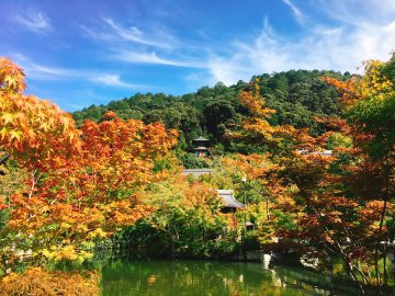 【2018】京都🍂紅葉スポット&おすすめ"SNS映え"スイーツ