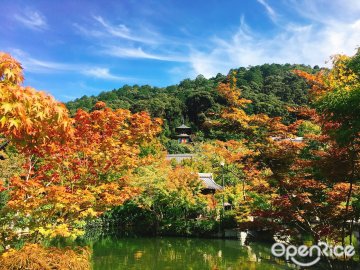 京都賞紅葉景點及主題甜品推介【2018年版】