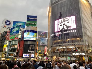 A Sensational Night Out in Shibuya!  🤩