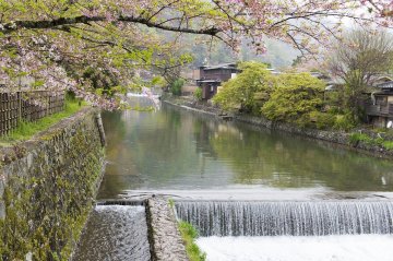 京都先斗町餐廳推介