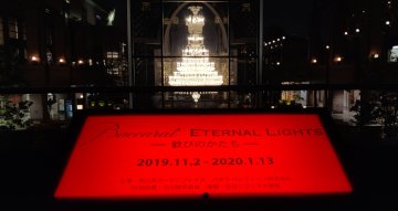 Winter Illumination in Ebisu 🌟