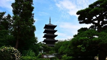 車站周邊 從古到今的地標－－東寺