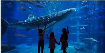 天保山マーケットプレイス／世界最大級の水族館・海遊館