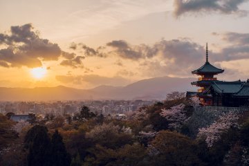 清水寺周辺のランチスポット