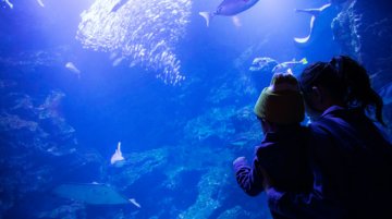 遊覽京都水族館和鐵道博物館 3間周邊午餐推介