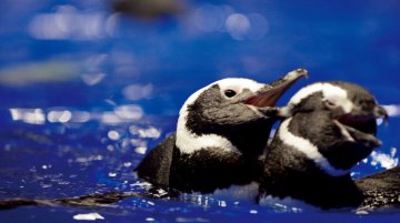 墨田水族館 2022美食篇
