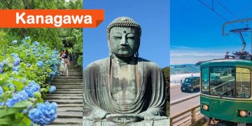 About 1 hour from Tokyo! Eat and Explore Kamakura🍜