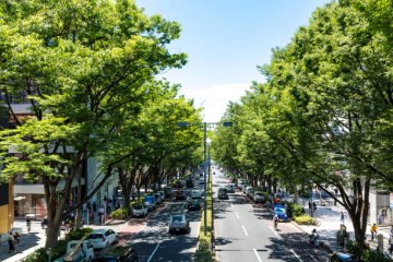 表参道を一日中満喫！