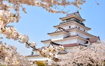 春爛漫！お花見＆グルメを満喫しよう 🌸