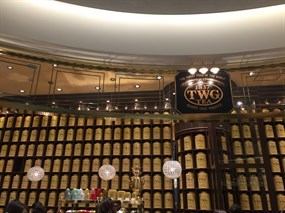ティーダブルジー ティー 東急プラザ銀座店