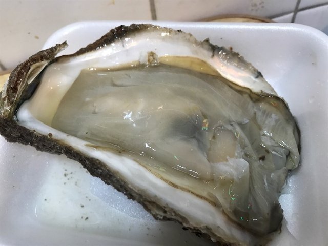 好大隻!海水味好重!