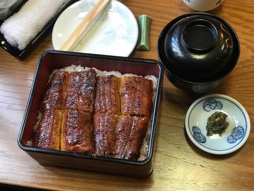 Osaka  Mamushi  (size  M)
