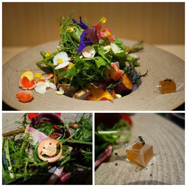 DEN~signature其中之二：擺盤、野菜新鮮，完勝。