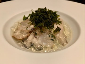 Oyster