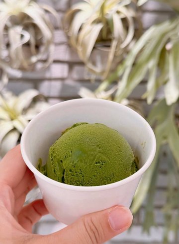常盤Gelato