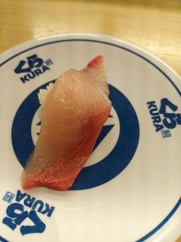 大切鰤魚