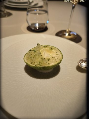 Meyer Lemon from Kochi with Lemon Thyme