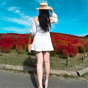 candycjourney